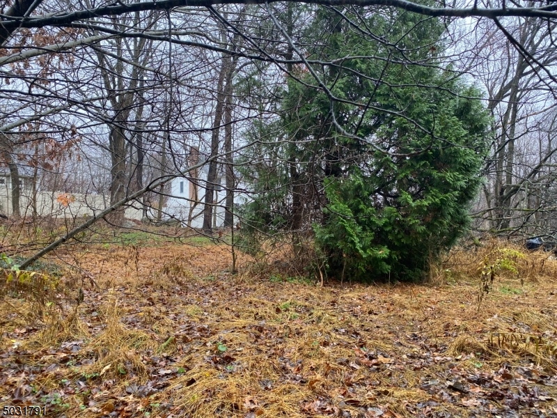 Oak Ridge / Milton Section - Residential
