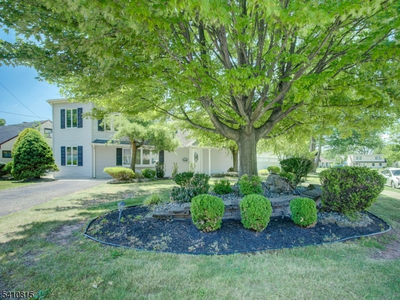 Nixon Park - Residential