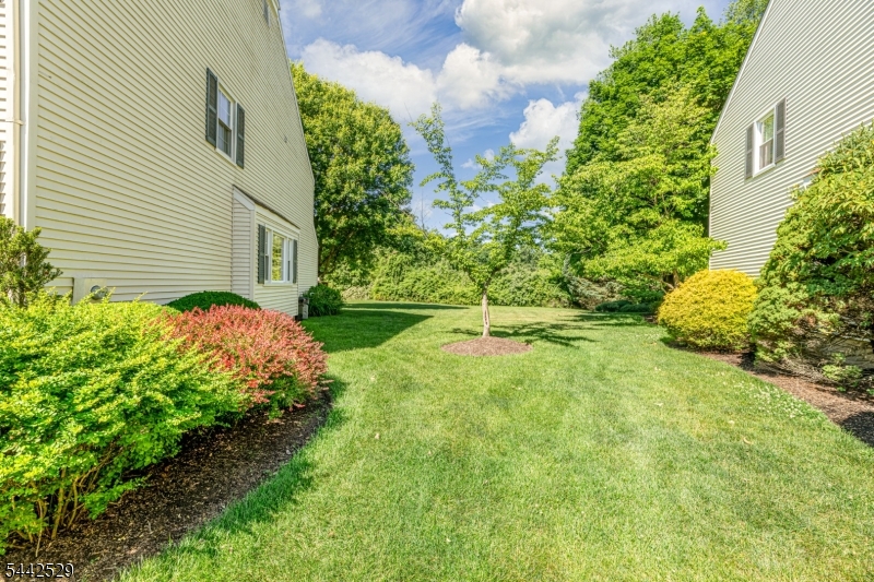 MENDHAM COMMONS - Residential