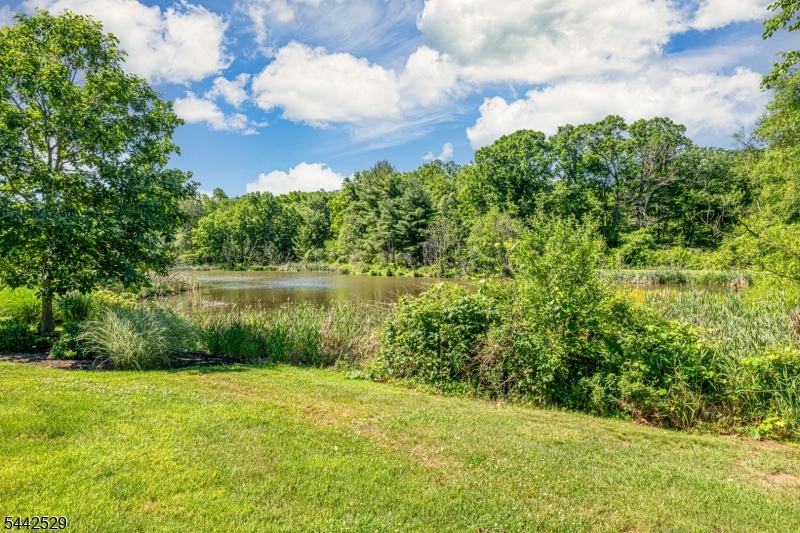 MENDHAM COMMONS - Residential