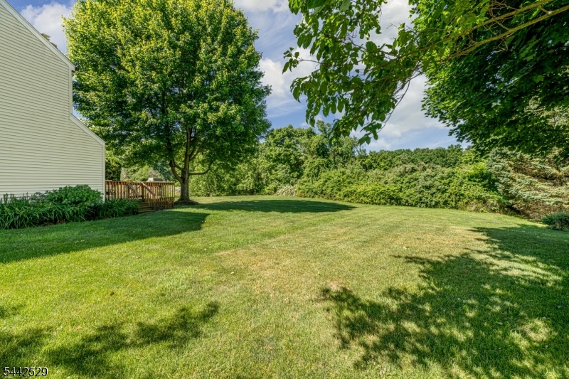 MENDHAM COMMONS - Residential