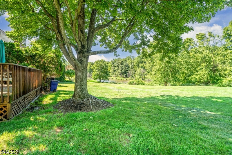 MENDHAM COMMONS - Residential