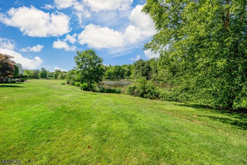 MENDHAM COMMONS - Residential