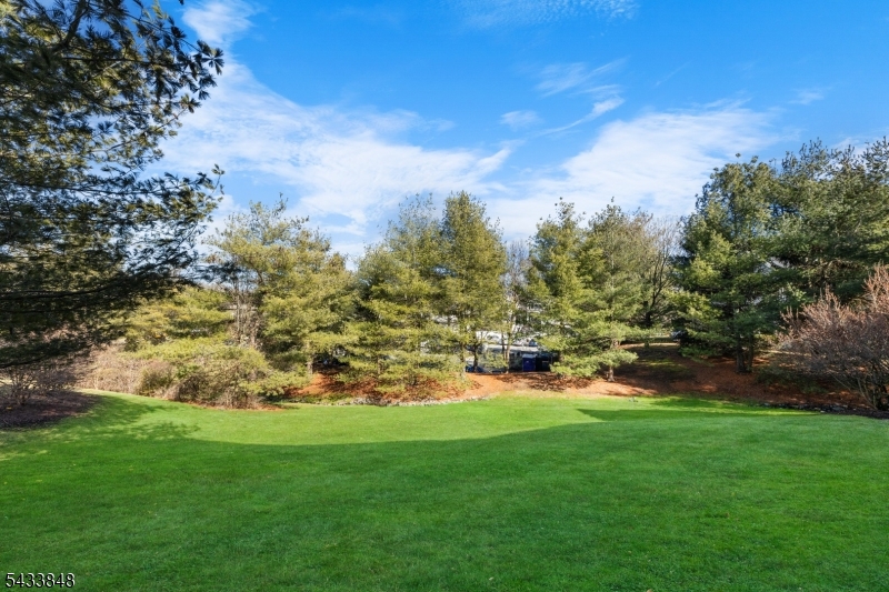 Rose Arbor - Residential