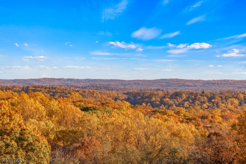 Bernardsville Mountain - Residential
