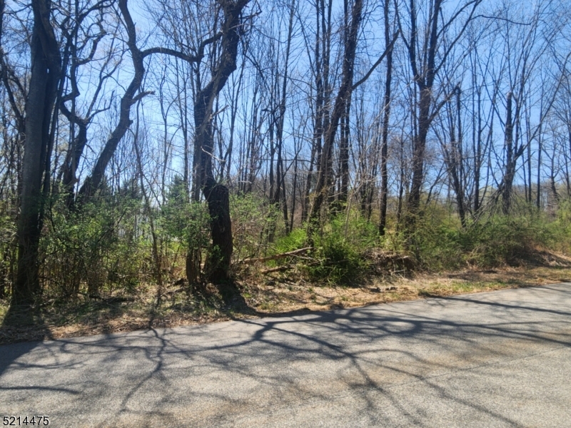 Deerfield Estate - Land