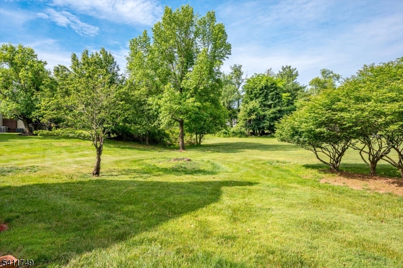 Arrowhead - Residential