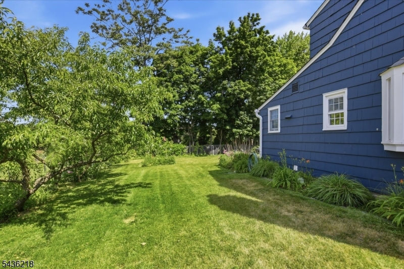 Shadylawn - Residential