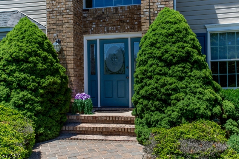 Carousel Estates - Residential