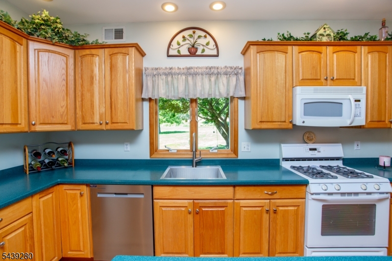 Carousel Estates - Residential