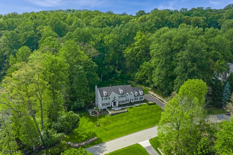 BROOKRACE - Residential