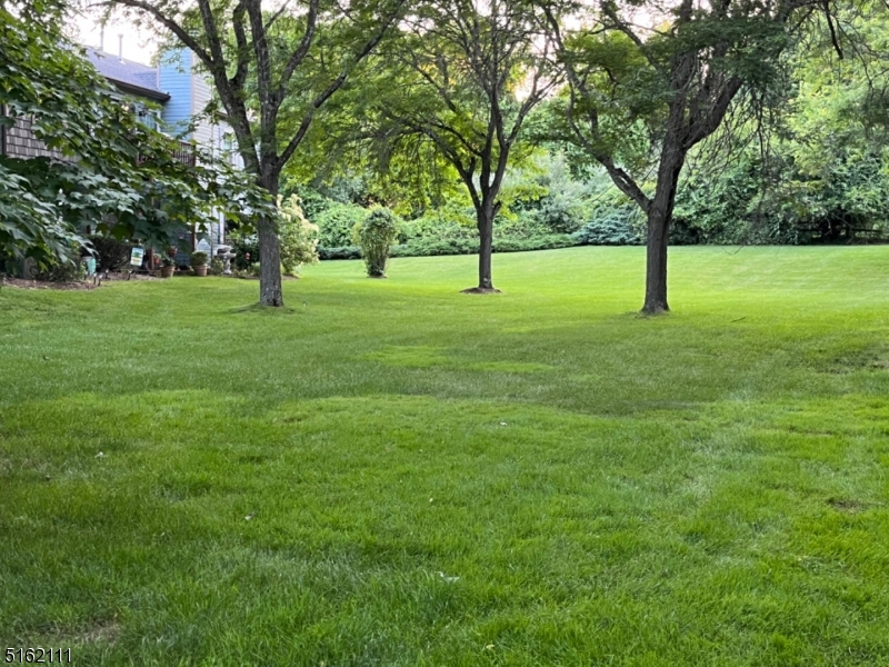 Panther Valley - Residential Lease