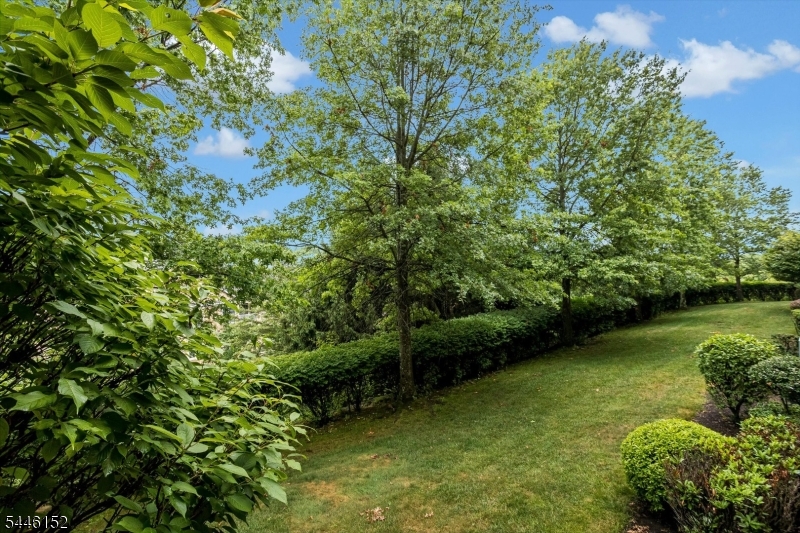 Fox Hills - Residential