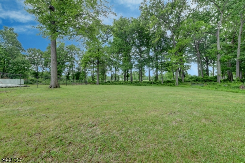 Lincoln Park - Residential