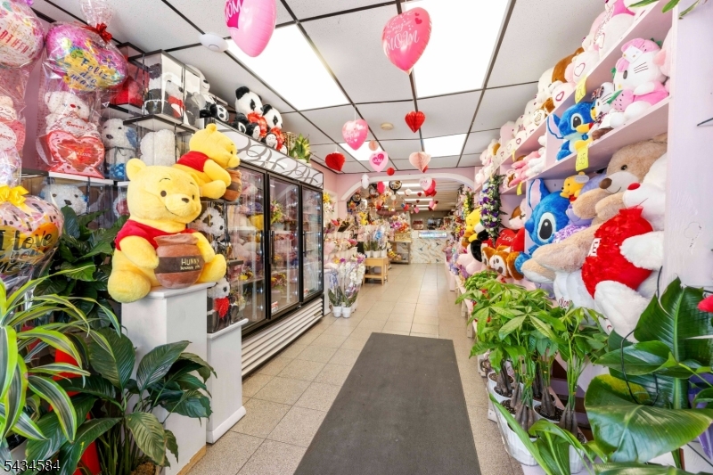 Mattano  Park - Commercial Sale