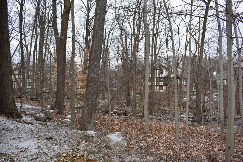RIDGE GARDENS - Residential