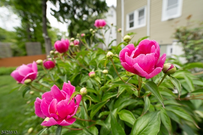 HILLCREST - Residential