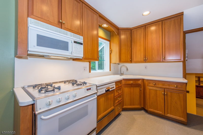 Cedar Lake - Residential
