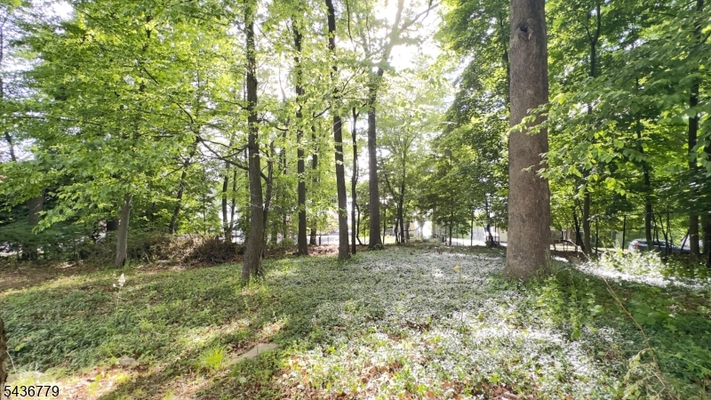 Knolls - Residential Lease