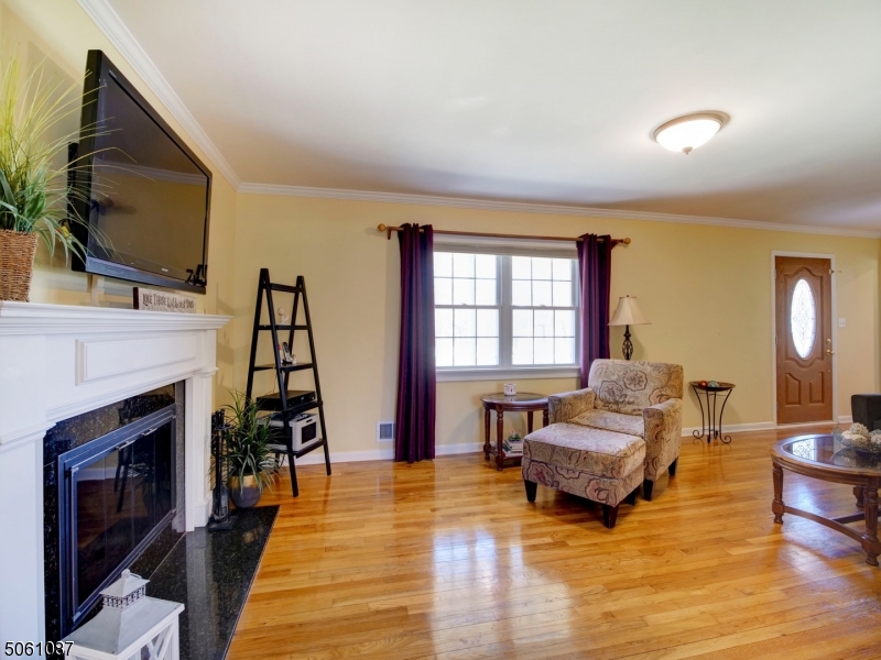 MOONEY MOUNTAIN - Residential