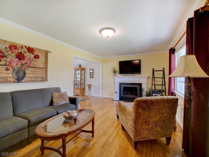 MOONEY MOUNTAIN - Residential