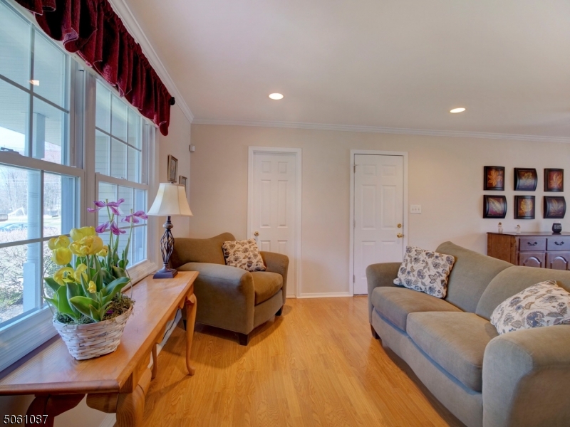 MOONEY MOUNTAIN - Residential