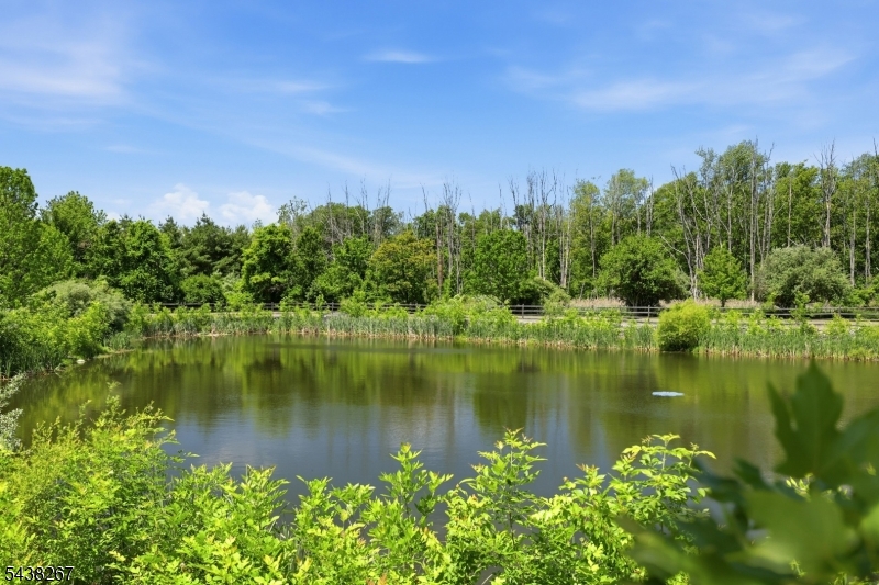 Panther Valley - Residential