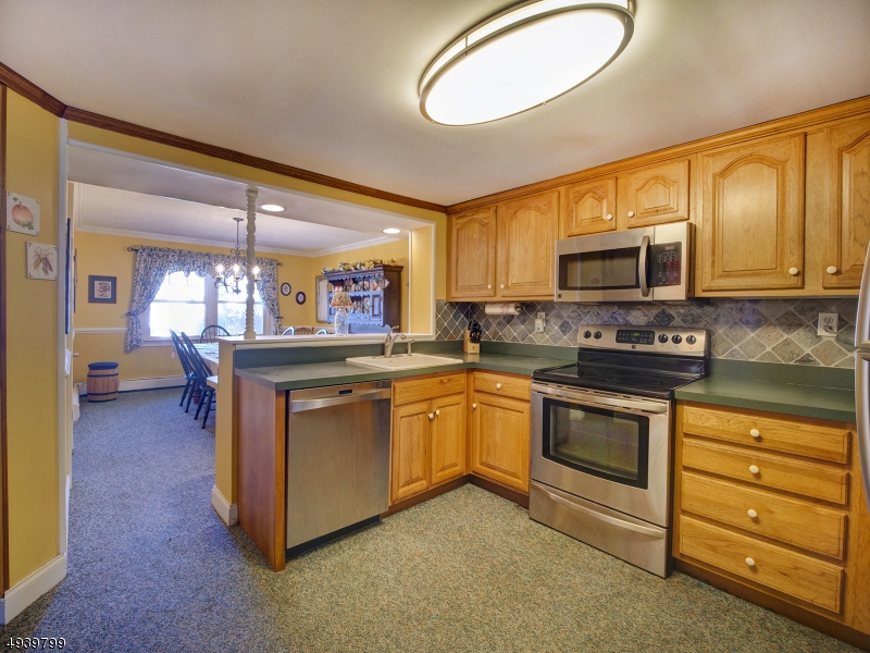 LAKE PARSIPPANY - Residential