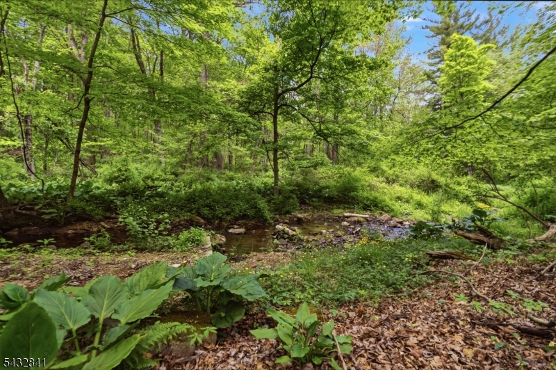 Washington Valley - Residential