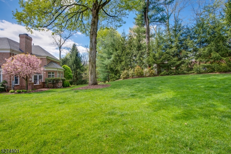 Old Short Hills - Residential
