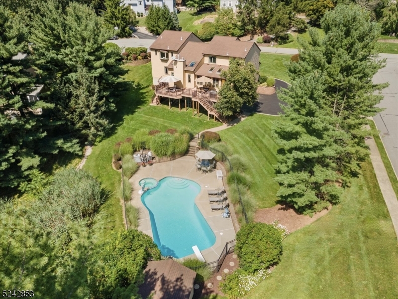 Your dream home in a prime location! Contemporary Colonial offers a luxurious lifestyle in an idyllic setting. Situated on a corner tranquil cul-de-sac, in the Ironia neighborhood of Randolph, is surrounded by striking scenery, wilderness trails winding through the town, and easy access to stores, restaurants, and top-rated schools. A 2-story foyer welcomes you inside to an open, airy floor plan featuring hardwood floor, vaulted ceilings, skylights, crown molding, trim details, and generously scaled rooms ideal for entertaining. The living room with a home theater system flows to the formal dining room, powder room, and a large office. The eat-in kitchen is equipped with granite counters, ample custom cabinetry, stainless steel appliances, and an oversized island with a second sink. A vaulted ceiling and skylights bring lots of light into the family room with a gas fireplace, and the fabulous sunroom offers views of the deck and grounds. Step outside to the two-tiered Trex deck with multiple seating areas or take a dip in the in-ground heated pool and spa artfully landscaped into the back yard for peaceful privacy. The second floor includes the primary bedroom suite with two walk-in closets and a luxurious en suite bathroom with dual sinks and a jetted soaking tub next to a great picture window. There are three additional large bedrooms and a full hall bathroom. The finished walkout basement has a sprawling recreation room, a walk-in cedar closet, and a workshop.