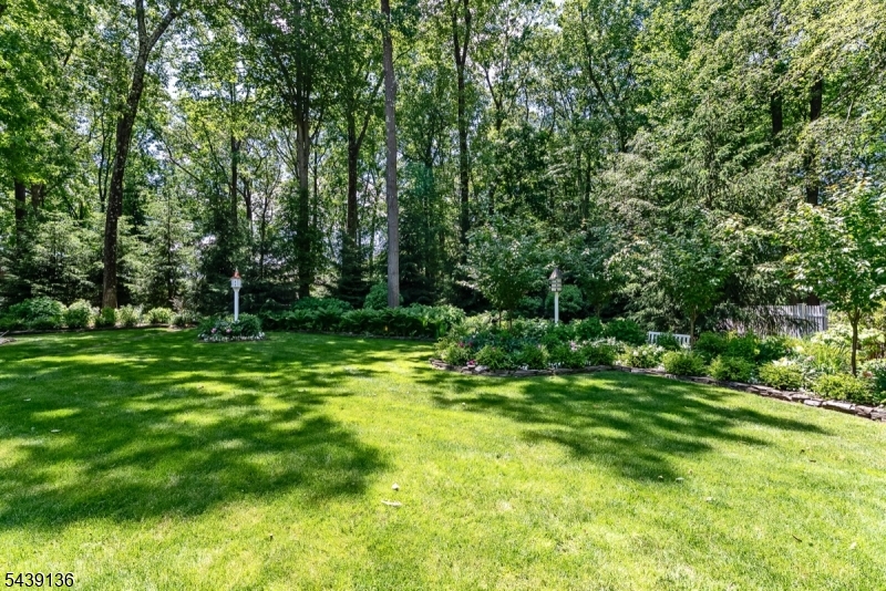 Hedgerows - Residential