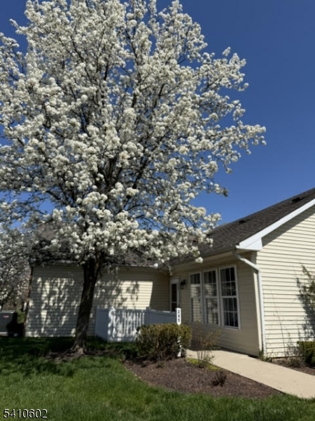 HILLSBOROUGH POINT - Residential Lease
