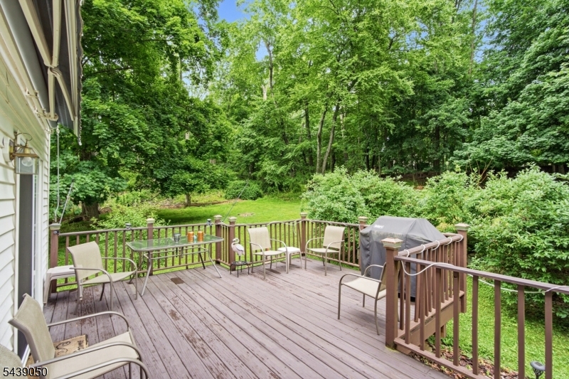 Lake Iliff area - Residential