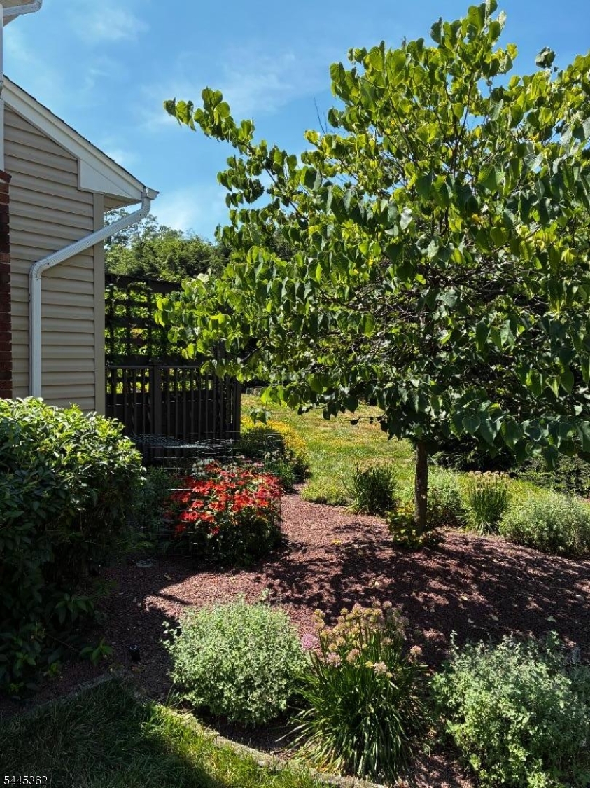 Brookside at Roxbury - Residential
