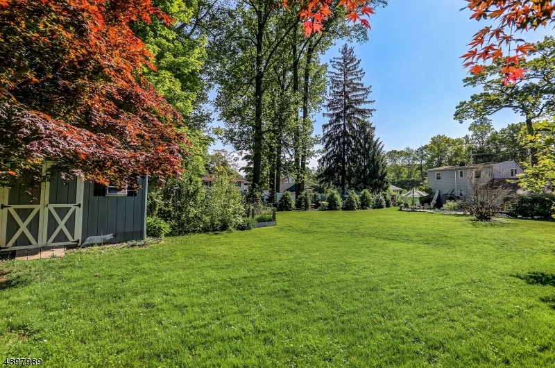 Boonton Mailing Address - Residential