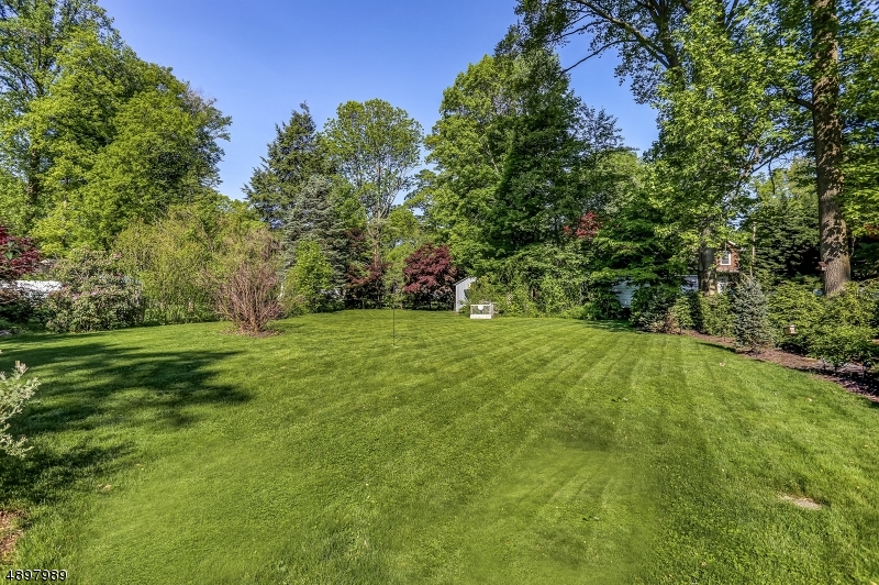 Boonton Mailing Address - Residential