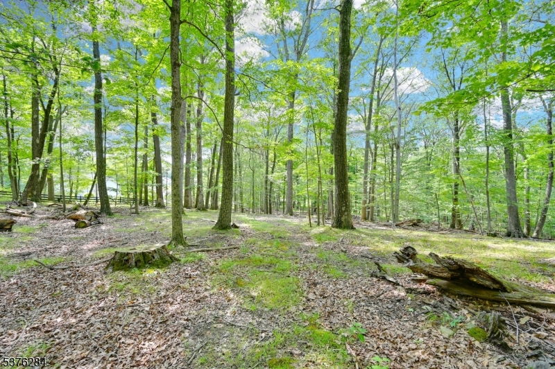 Just under 17 wooded acres in sought-after Fredon Township one of New Jersey's top-rated towns. This expansive parcel offers privacy, beauty, and versatility. Whether you're seeking a quiet retreat, space to build your dream home, or land for recreational use (hunting, quadding, hiking), this property delivers. Nestled in the heart of Sussex County, you're just minutes to Newton Hospital, historic downtown Newton, big box stores, and convenient dining options the perfect balance of rural seclusion and modern accessibility. Located close by the Paulinskill and Swartswood Lakes. A rare opportunity to invest in land in one of NJ's most desirable hidden gems. Easement off of Paulinskill Lake Rd to build access / driveway. No septic or well in place. Buyer responsible for any town approvals. Currently farm assessed for forestry.