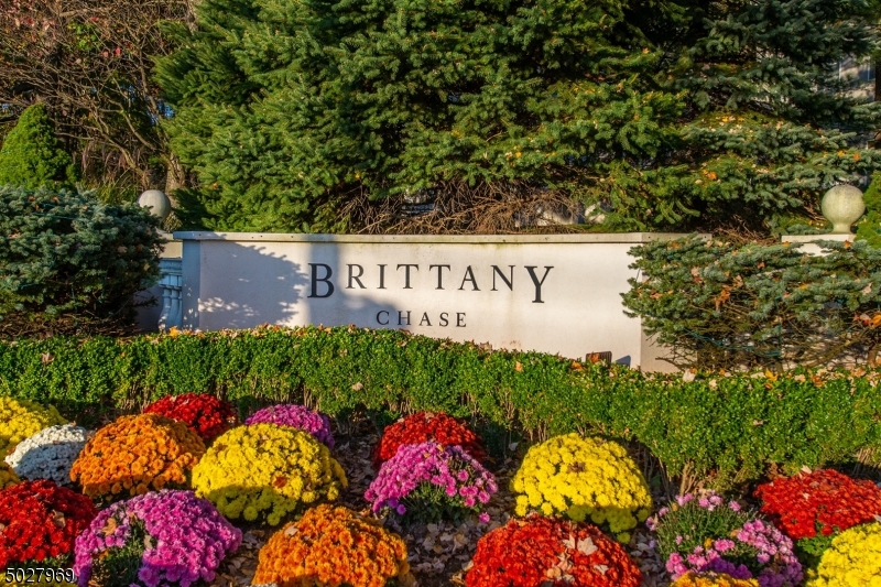 Brittany Chase - Residential