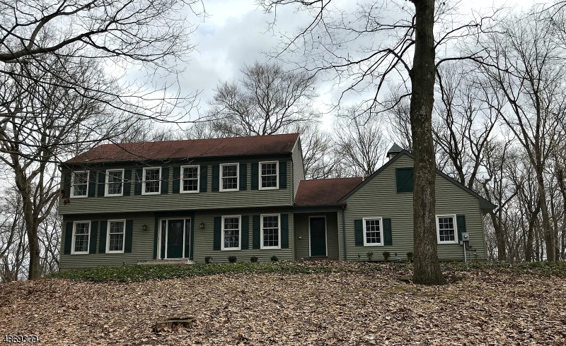 Tucked away on just over 3ac, this fully updated 4BR col offers a Cook's kitchen w granite cntrs, tile bcksplsh, travertine flr, cust cabinets w pullouts & glass accents. All SS applncs: 6-burnr gas range w exhaust hood, double wall ovens, warming drawer, French-dr fridge & 2 Fisher-Paykel dishwashers. Great natural light from extra-tall wndws. 2 sets of French doors off the foyer; front-to-back LR w full wall of shelves. Fam rm boasts Brazilian cherry flr, fplc & recessd lights. All bathrooms updated including heated flrs & towel warmers in Mstr & main BAs. MBR suite w cust walkin closet w shelves, drawers & built-in ironing brd. HW flrs in all BRs. Sliding drs off kit open to spacious deck overlooking private backyrd. Highly rated West Morris Schools. Close to Mansfield/Hackettstown stores, dining, train.