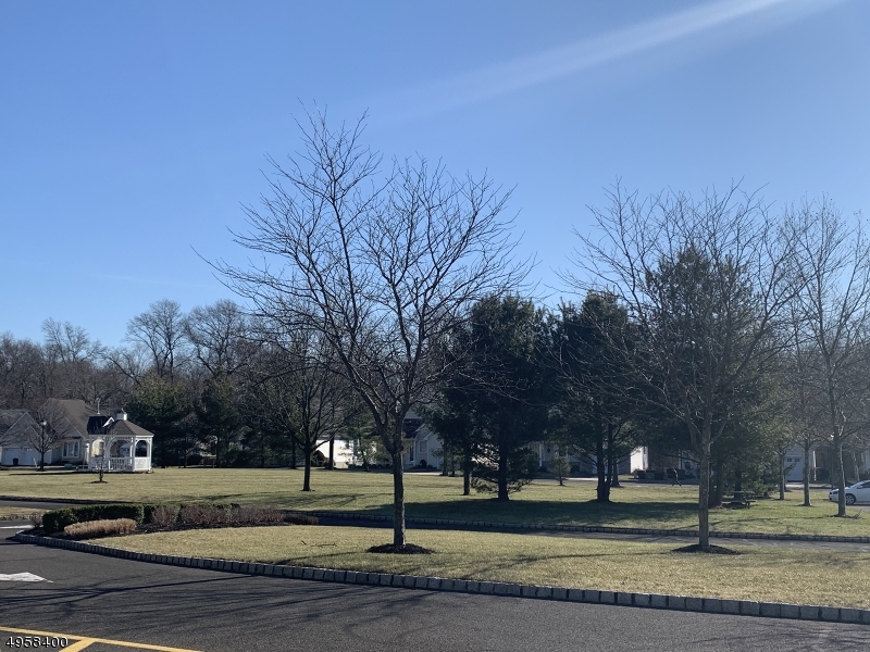 FOREST HILL - Residential