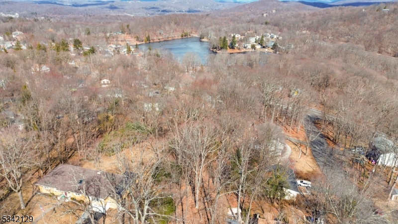 Lake Saginaw - Residential