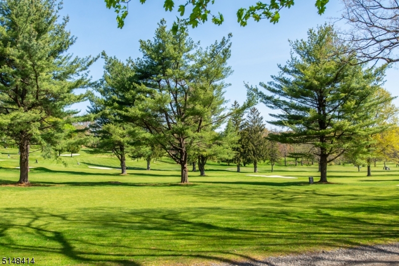 Mt. Tabor - Residential