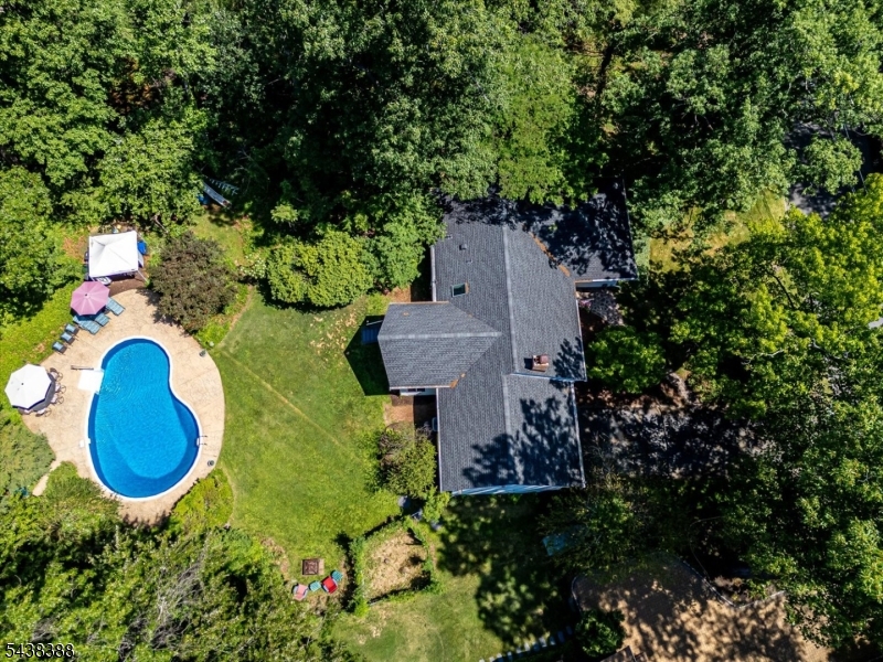 Clive Hills - Residential