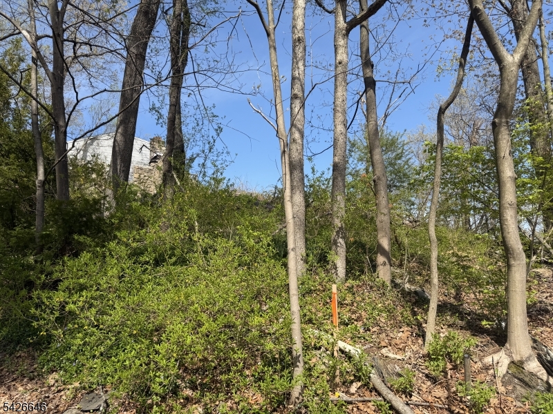 Greenwood Lake - Land