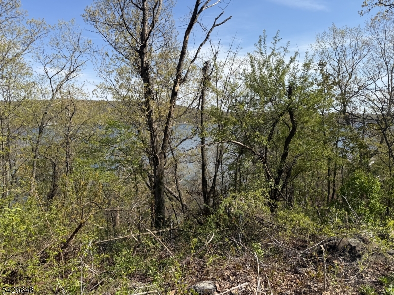 Greenwood Lake - Land