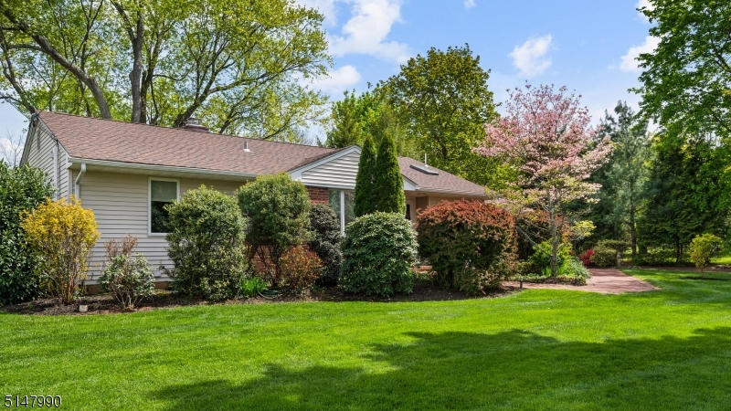 Belle Mead - Residential