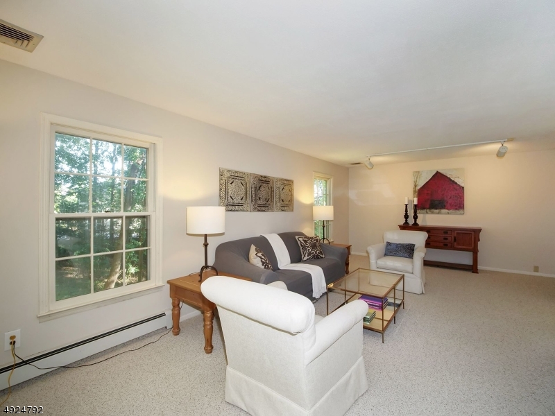 MOONEY MOUNTAIN - Residential