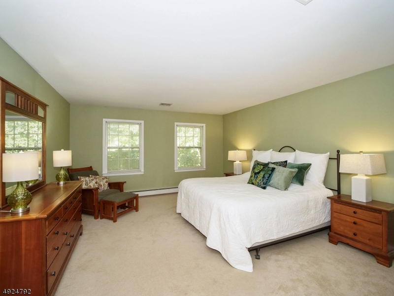 MOONEY MOUNTAIN - Residential