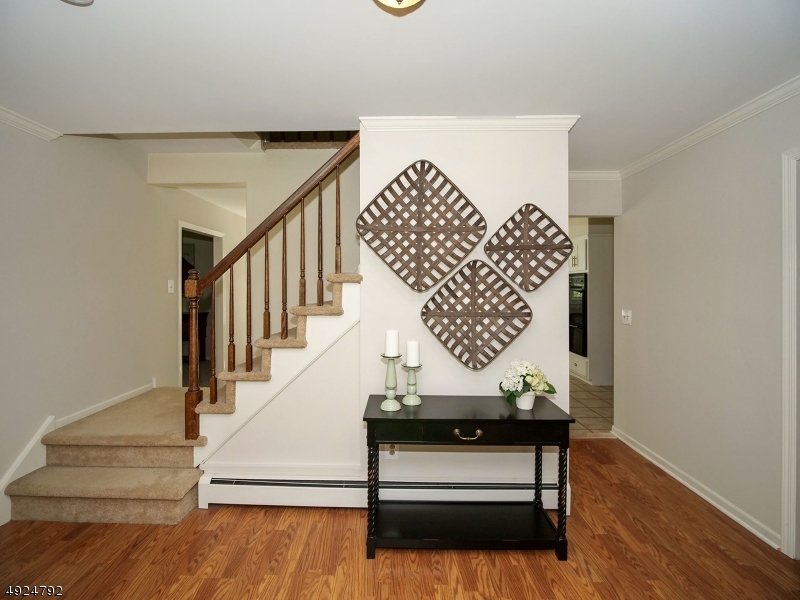 MOONEY MOUNTAIN - Residential